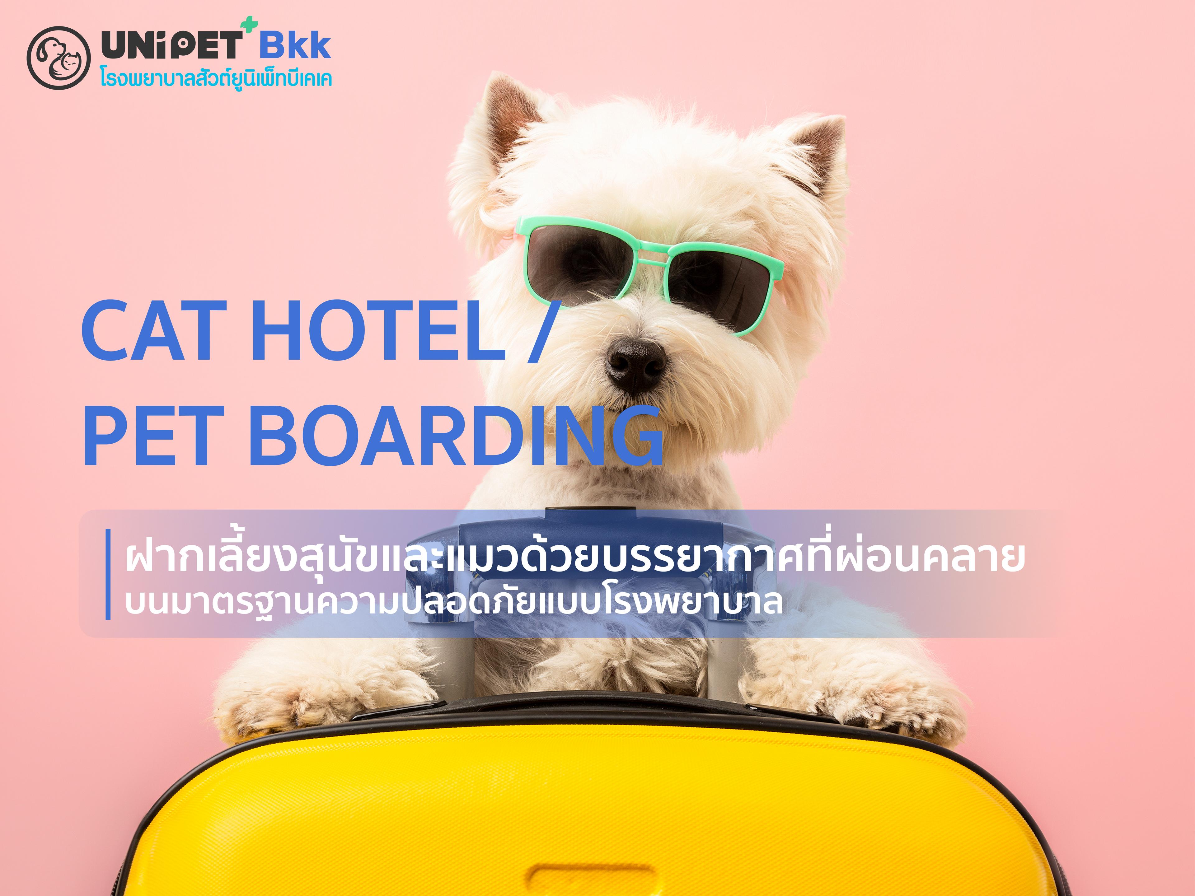 cat-hotel-pet-boarding