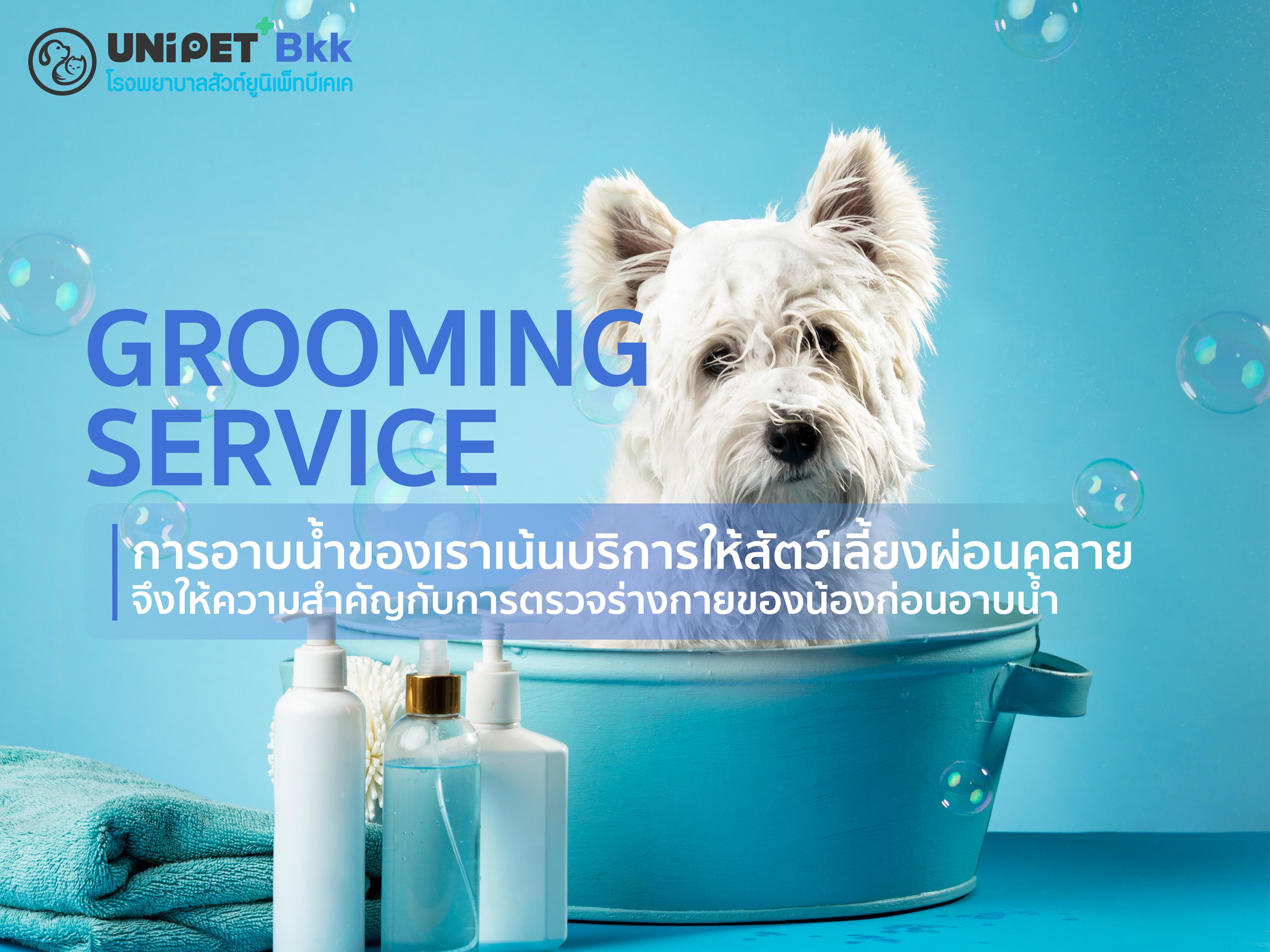 grooming-service